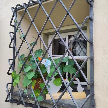 Bochert Zuoz